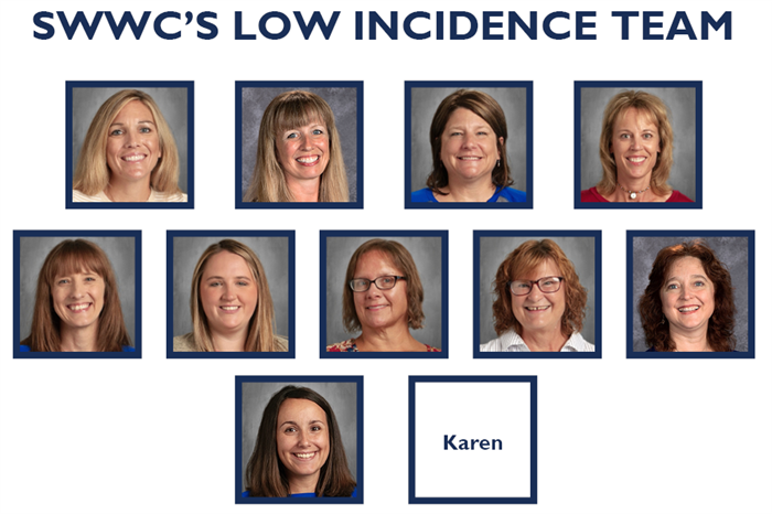 low incidence team low incidence team